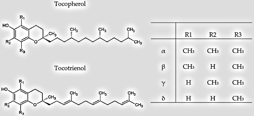 vitamin e structure