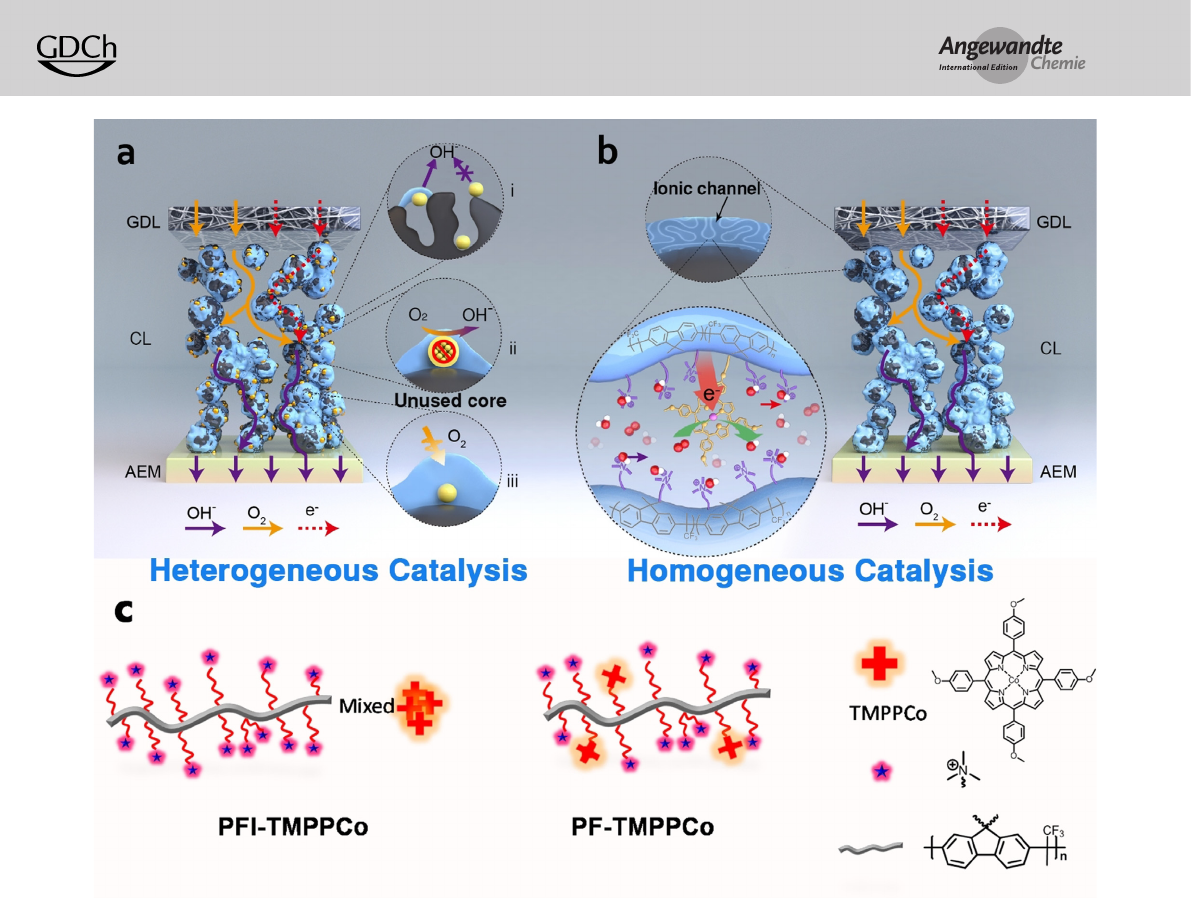 A New Catalyst Layer Structure In Fuel Cells